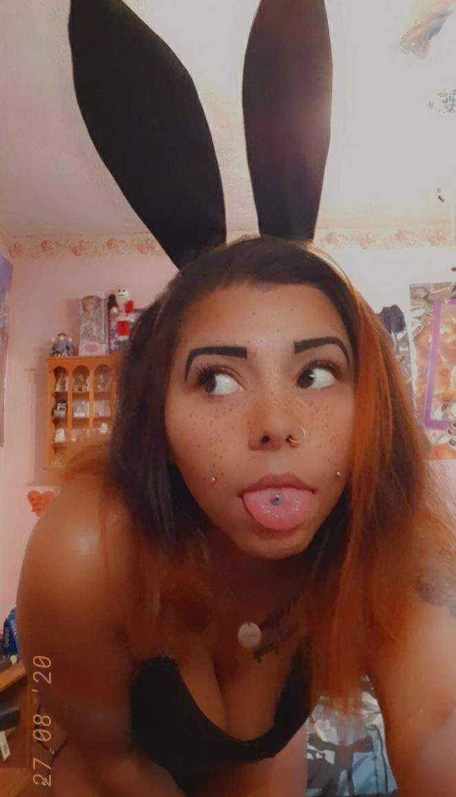 Violet, the sê×ÿ rabbit