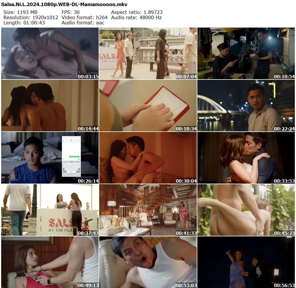 Salsa.Ni.L.2024.1080p.WEB-DL-Mamamooooo_preview.webp