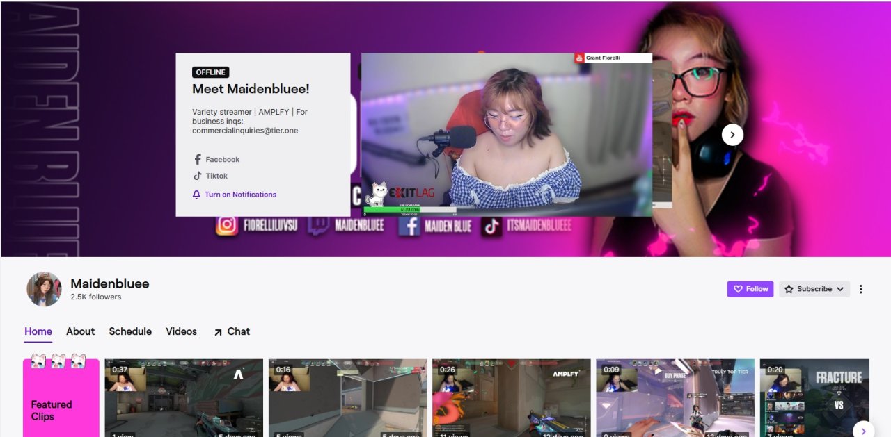 maidenbluee TWITCH.jpg