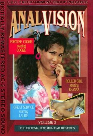 Anal Vision 3 (1993DVDRip)