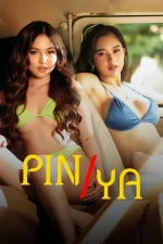 pinya (2).webp