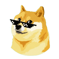 DogeX