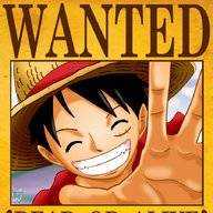 Luffy28