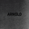 Arnold_Fist