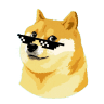 DogeX