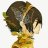 Toph Beifong