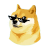 DogeX