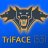 triface1331