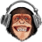 monkeykoy