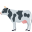 🐄