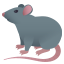 🐀