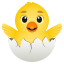 🐣